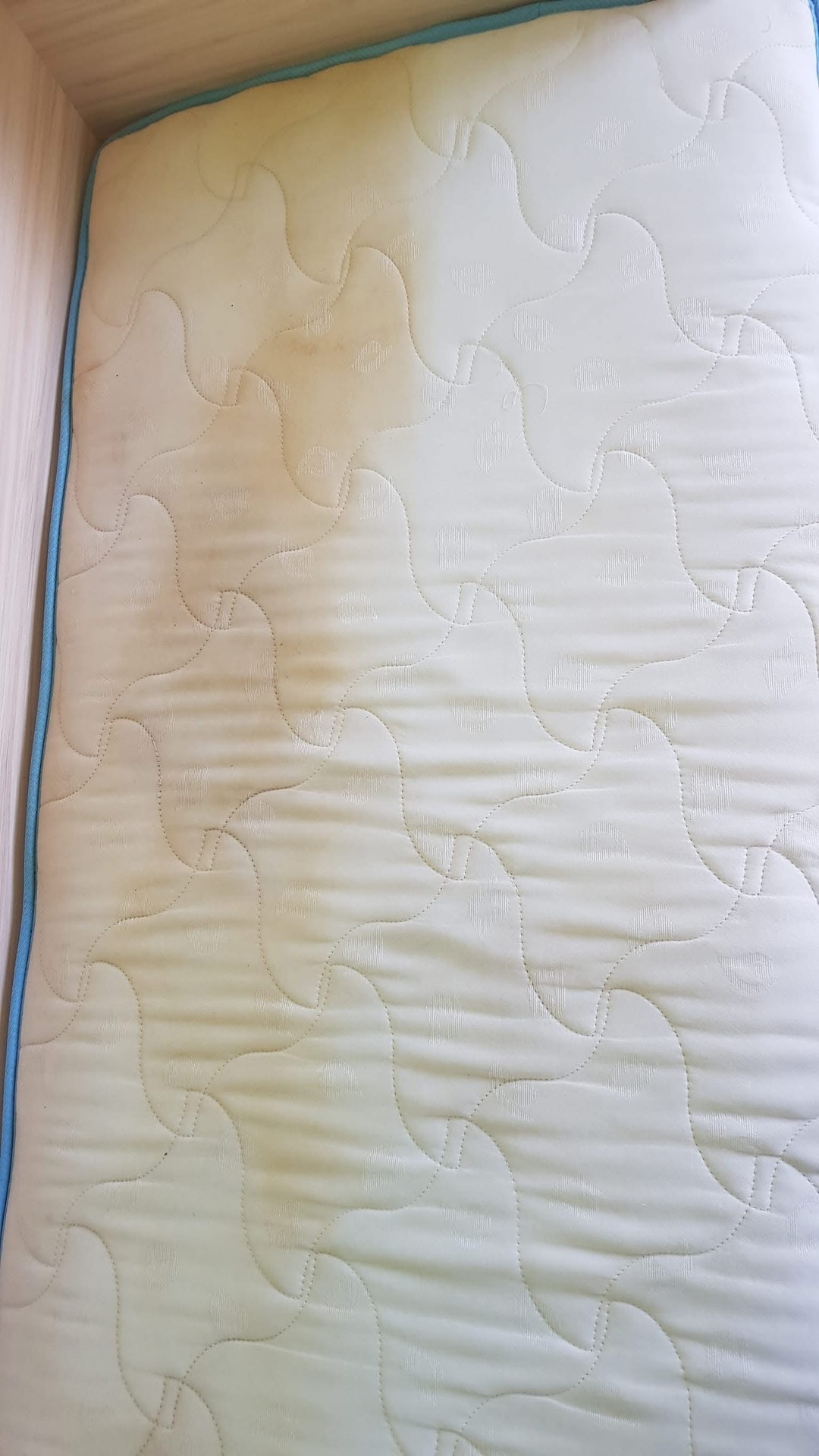 Before photo for Upholstery Cleaning