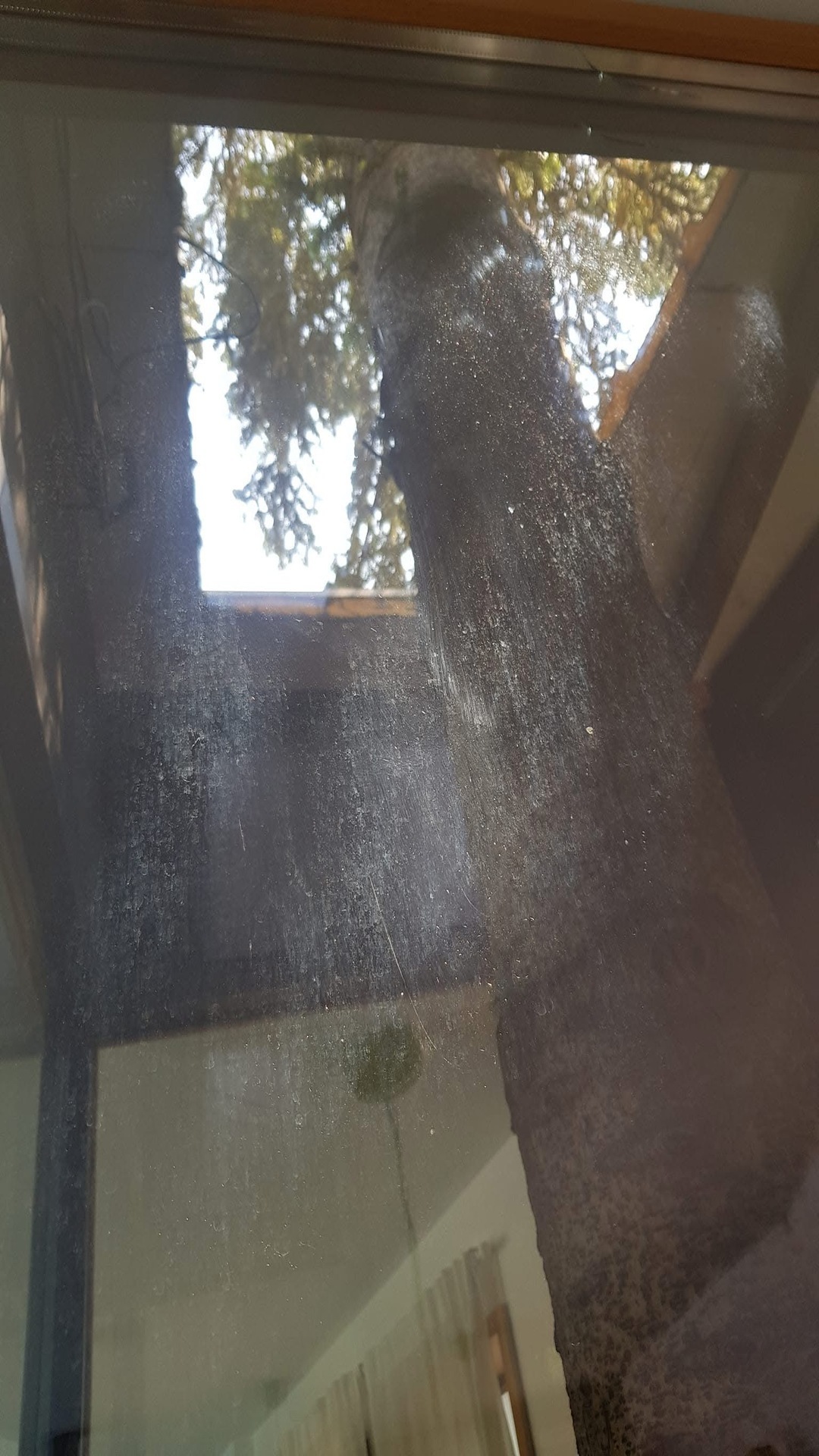 Before photo for Window Cleaning