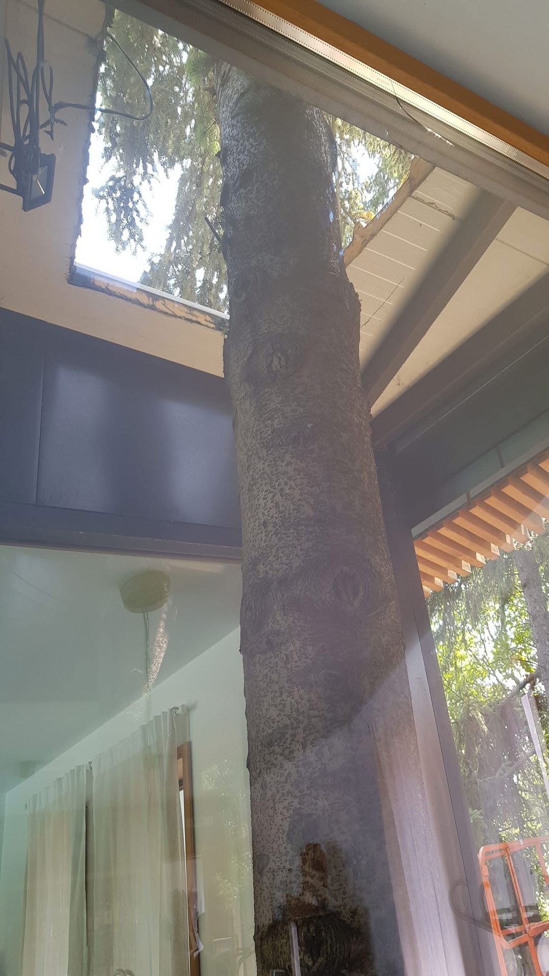 After photo for Window Cleaning