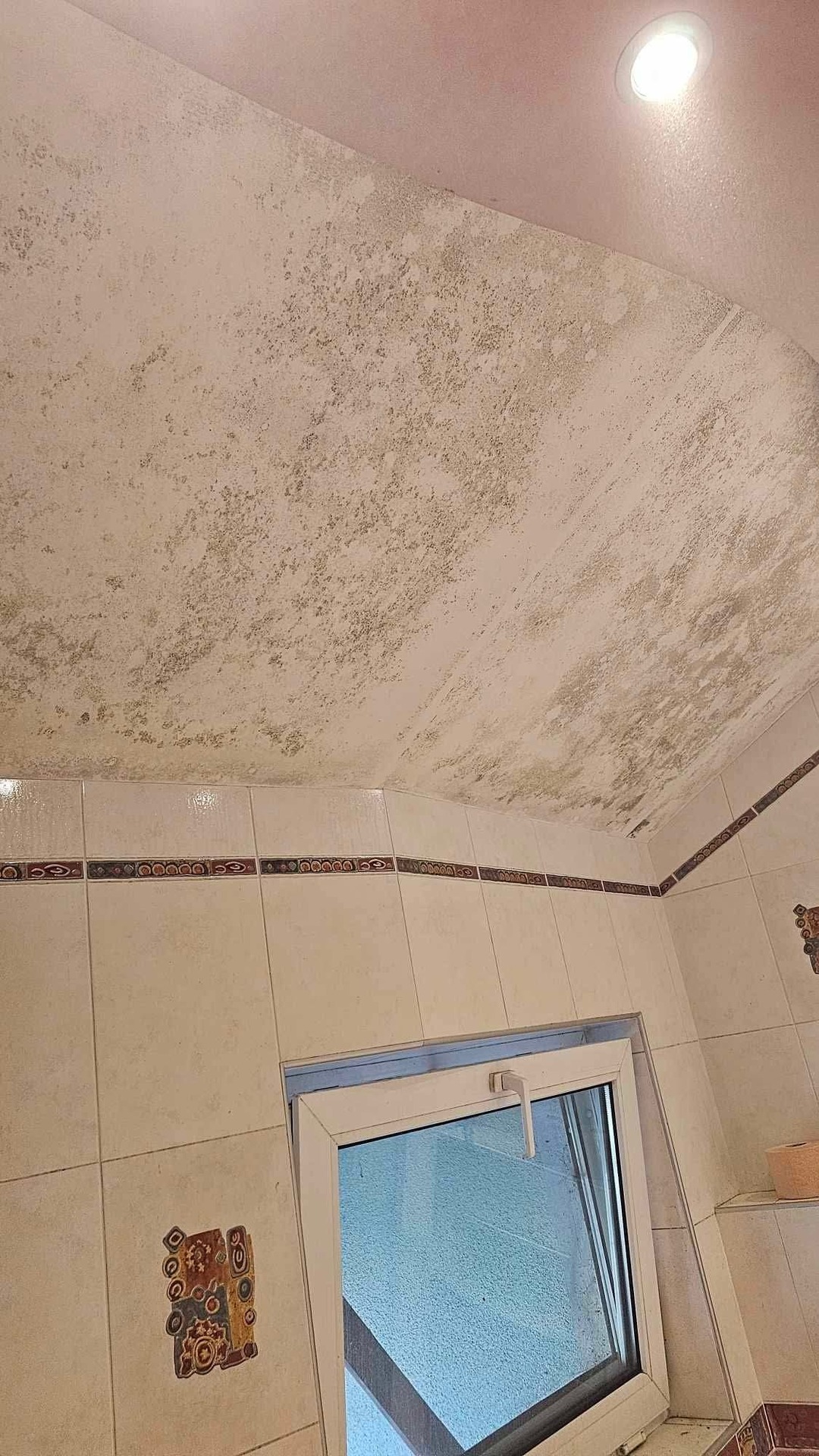 Before photo for Основно почистване