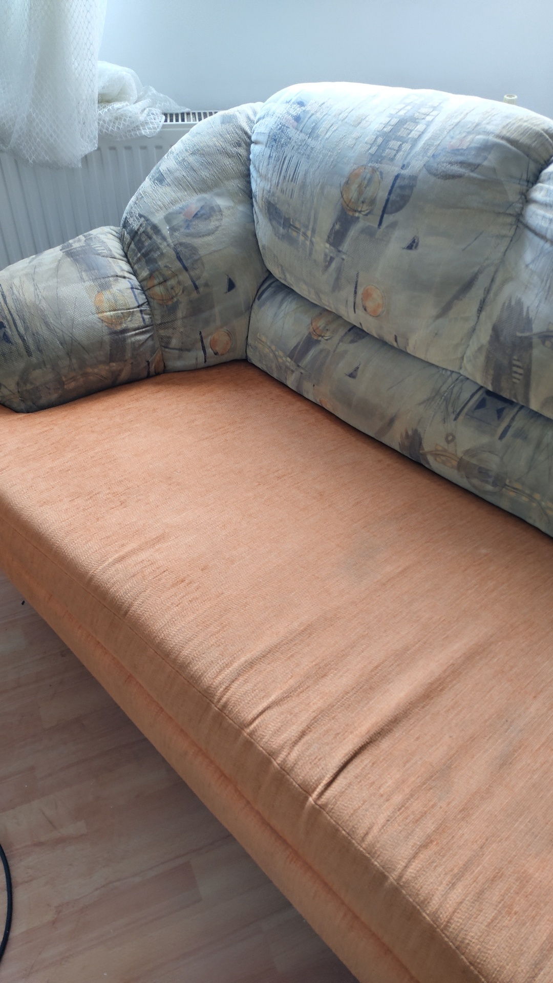 Before photo for Upholstery Cleaning